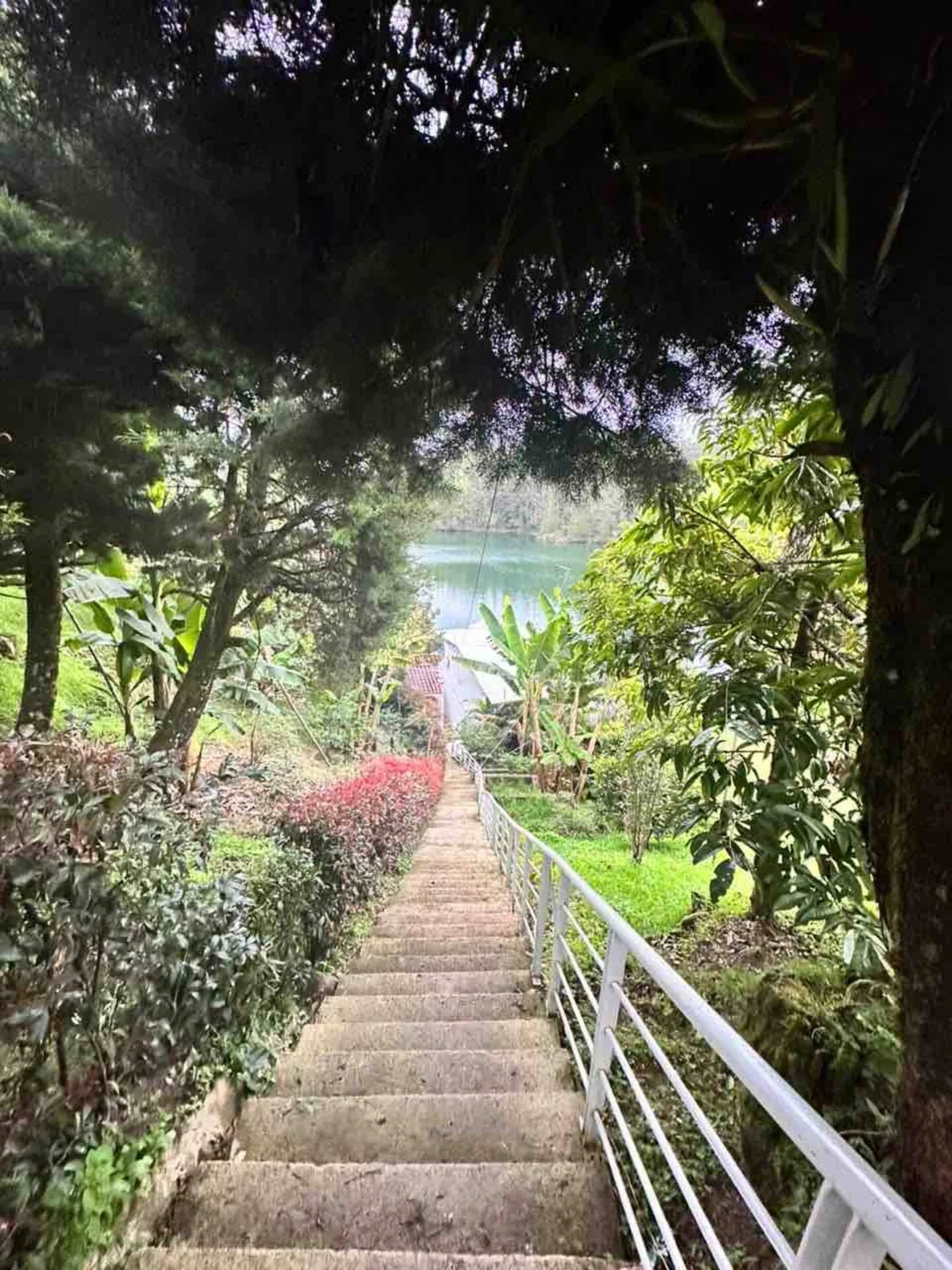 Sendero de la finca bajando hacia el lago